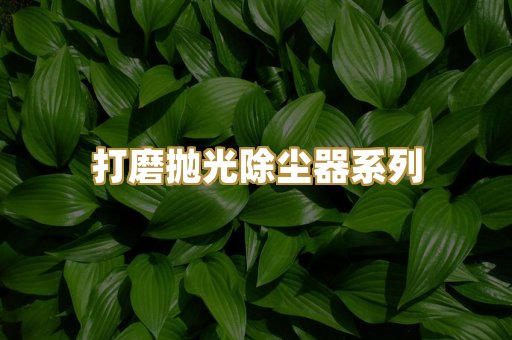 打磨抛光除尘器系列